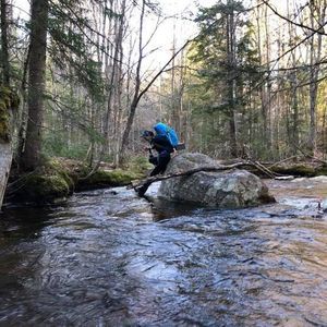 Meet your Posher, Caitlin